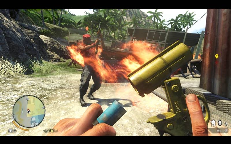 Far Cry 3 