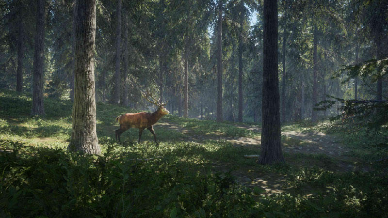 theHunter Call of the Wild 