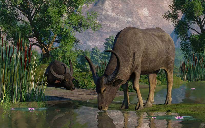 Planet Zoo Wetlands Animal Pack 