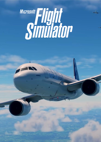 Microsoft Flight Simulator