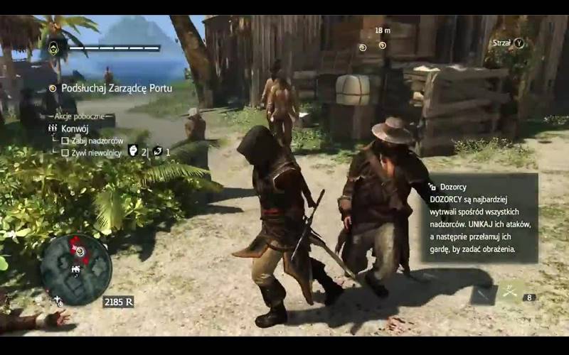 Assassins Creed 4 Black Flag Freedom Cry 