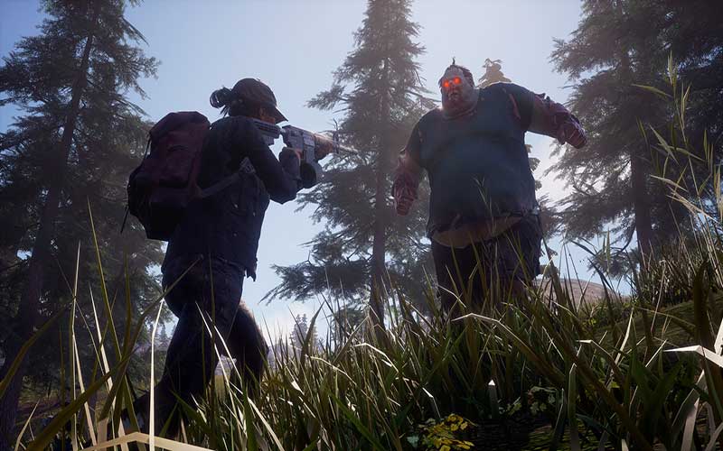 State of Decay 2 