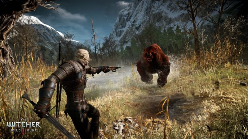 The Witcher 3 Wild Hunt 