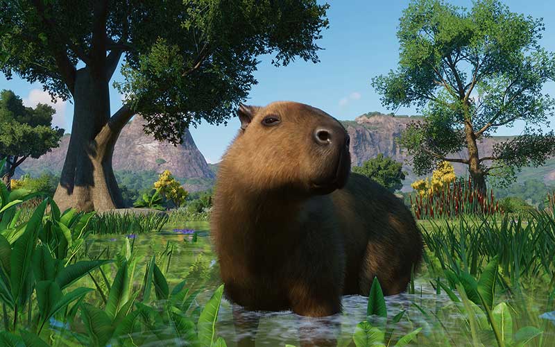 Planet Zoo Wetlands Animal Pack 