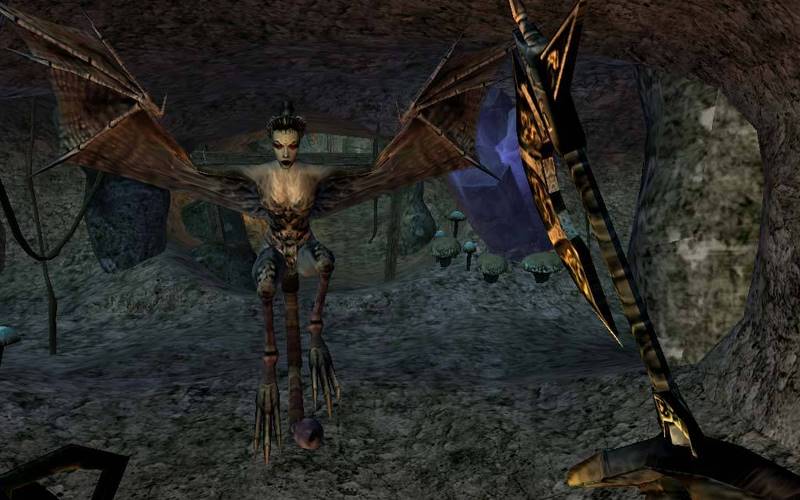 The Elder Scrolls III: Morrowind GOTY Edition 