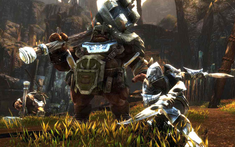 Kingdoms of Amalur Re-Reckoning 