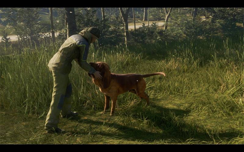 theHunter Call of the Wild Bloodhound 